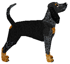 Pemberley Casino Royale — “Ivor”