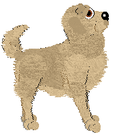 BFK's Slice of Delight — “Cheddar”