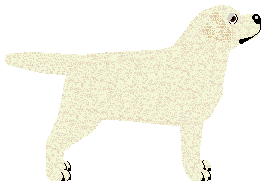 Cansas' Keep On Movin' — “Floyd”