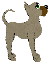 Profile image of Zooidal/Tangled's P Bass Special