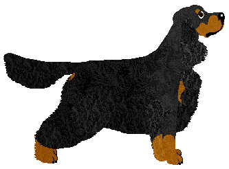 Cansas' Sunday Best — “Basil”