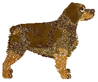 Profile image of Cansas' Gummiberry Juice