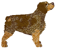 Cansas' Gummiberry Juice — “Gruffi”