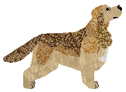 Dragosani ABLE TO WIN — “Bonnie”