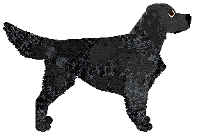 I Believe in Love of Wanderlust — “Holly”