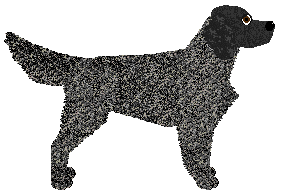 Fólkvangr BLUE CURACAO — “Curacao”