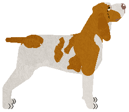 Masanga Down the Rabbit Hole — “Gypsy”