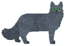 Fauvelle's Storm Warning — “Stormy”