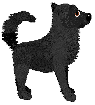 HAL/Tangled's Best Time for Spellwork — “Witching Hour”