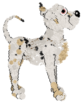 Profile image of Funfetti/Amenity's Ice and Cosmic Floats at Tanglewood