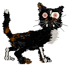 Dh/Tangled's Black Cat's Paw — “Hex”