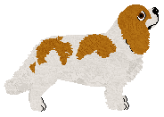 Cansas' The Adventures of Franklin — “Franklin”