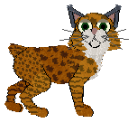 Tangle's You Wouldn't Download a Cat — “Download”