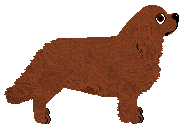 Cansas' Ten Million Fireflies — “Hermiona”