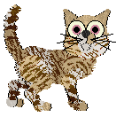 Krunchez/Tangled's Supermassive Black Hole — “Nova”