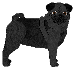 Cansas' Let Me In — “Jefferson”