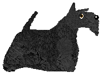 Cansas' VEUVE CLICQUOT — “Zara”