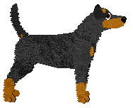 Cansas' Scandalizer — “Luron”