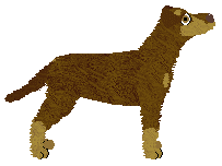 Cansas' Shocking Rumor — “Jadzia”