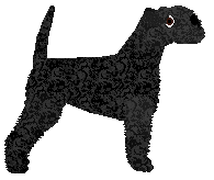 M'DESPICABLE ME at Jaeger — “Minion”