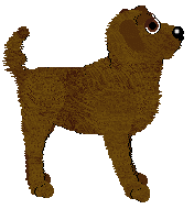 Profile image of NSP/Tangled's To Repay a Debt