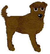 NSP/Tangled's To Repay a Debt — “Cashette”