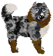 SGP/Tangled's Snout Master General — “Rush Hour”