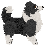 Geriatrix An Eucumenical Matter — “Okra”