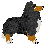 Geriatrix Can't Be Saying That — “Shroom”