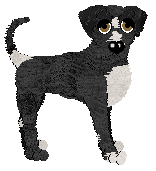 Profile image of Wild Road's If You Only Pray on Sunday, Could You Come My Way on Monday? at SzK