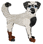 Profile image of Sz's A Tarty History