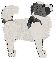 BFK's Adding Up Sums — “Lobo”