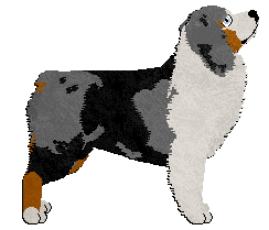 Profile image of Downpour Between Two Tides