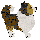 PD's He's the Star — “Ringo”