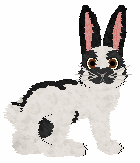 SBR's Leaping in the Sun — “Springy”