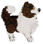 PD's Floating on Hopes — “Root Beer”