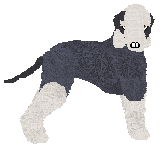 Profile image of Eli's Most Serene Augustus