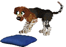 Eli's Brave Little Cosmonaut — “Laika”