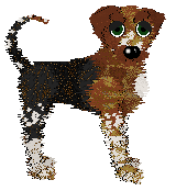 Eli's Brave Little Cosmonaut — “Laika”