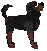 Olfaction The Urge To Delete — “Bandit”