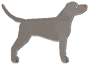 Profile image of Riflery Sausage Fest