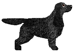 Dalheaf Sloe and Steady — “Blackthorn”