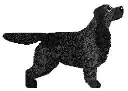 Dalheaf Sloe and Steady — “Blackthorn”