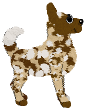 Sungraze's Nahorevo at Wild Road — “Narjevo”