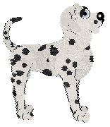 Lyric's Ball Of Fire at Wild Road — “Fireball”