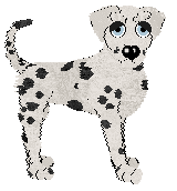 Lyric's Ball Of Fire at Wild Road — “Fireball”