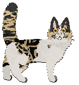 Profile image of Macavity Eobard Thawne