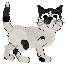 Calluna's Antipodes in Shoes — “Karai”