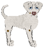 Profile image of Poppyhill/King's Pale Blue Eyes