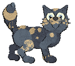 Profile image of Calluna's Fancy Fricasse